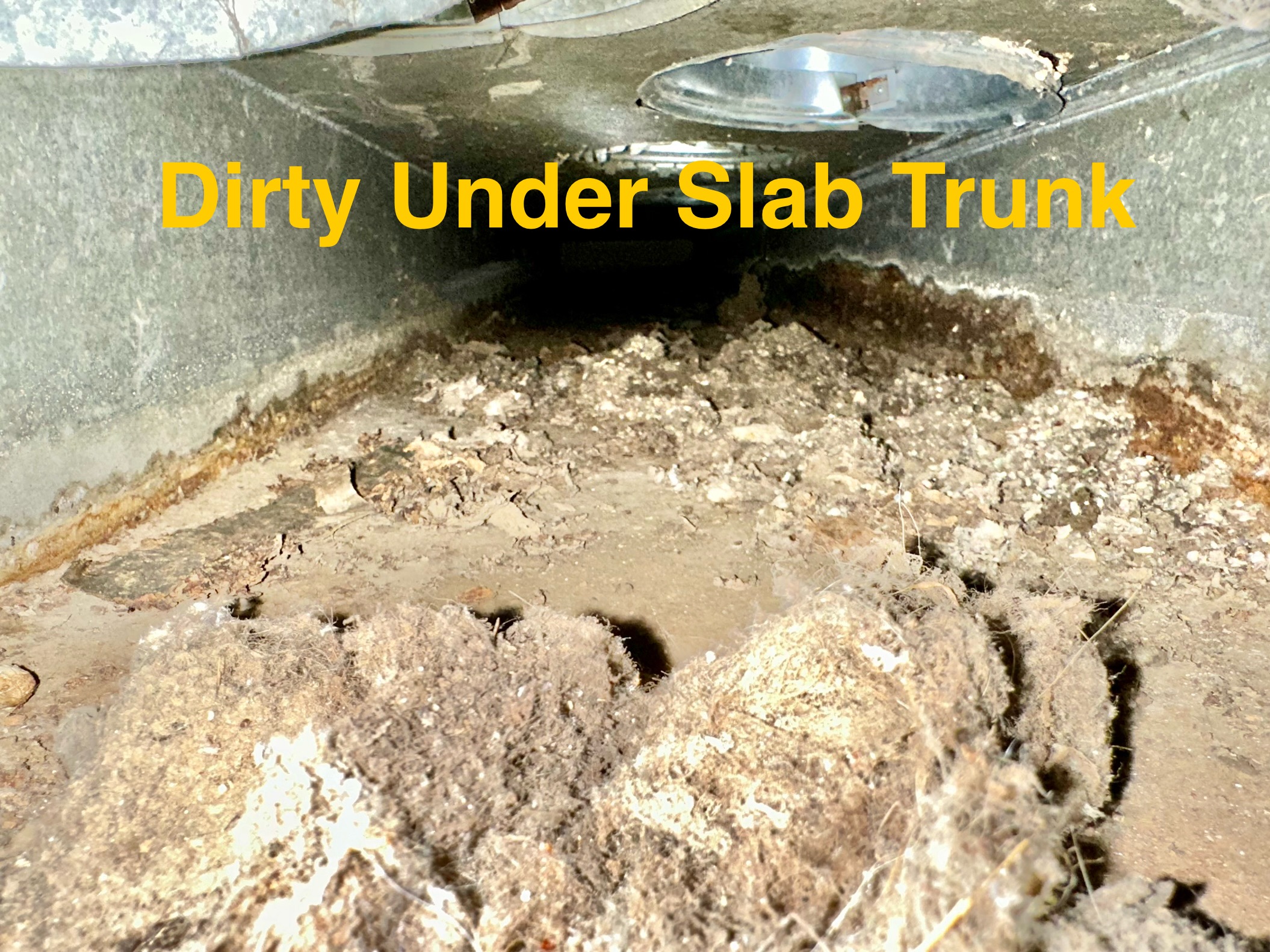 Dirty Under Slab Trunk